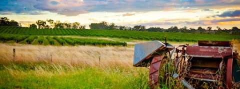 Photo: Bit O Heaven VIneyards