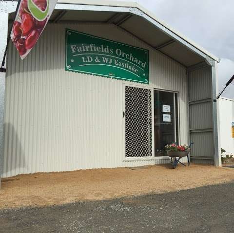 Photo: Eastlake's Family Tree - Fairfields Orchard