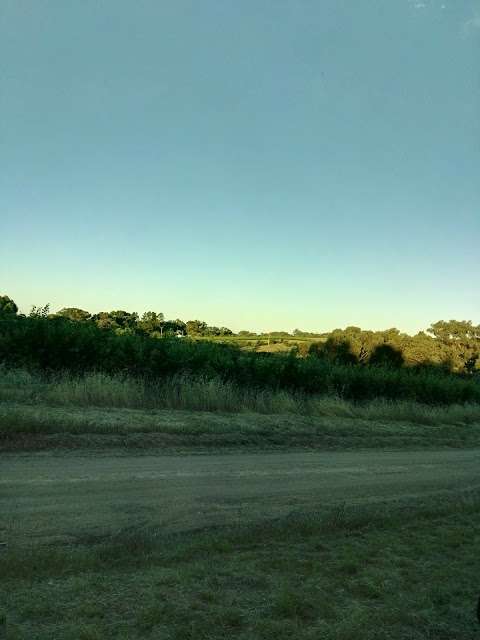 Photo: Lynton Cherry Orchards